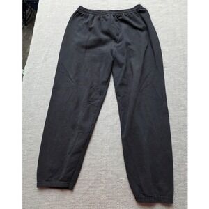 Hanes Mens Black Elastic Waist Fleece Lined Sweatpants Relaxed Fit Joggers